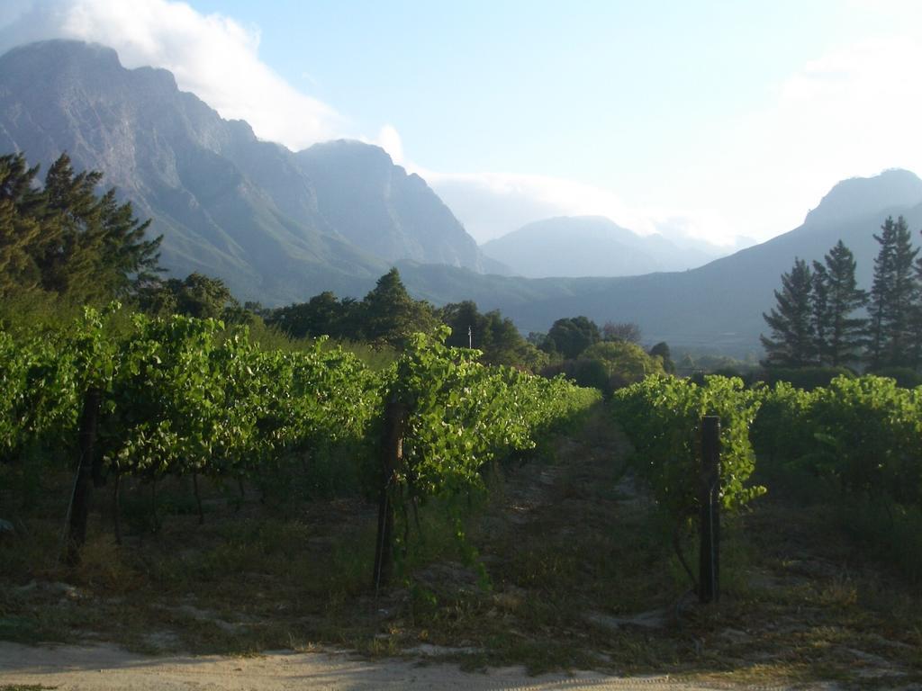 La Verdure Fruit Farm Franschhoek Phòng bức ảnh