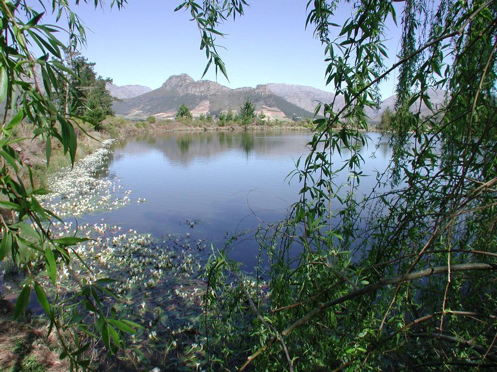 La Verdure Fruit Farm Franschhoek Phòng bức ảnh